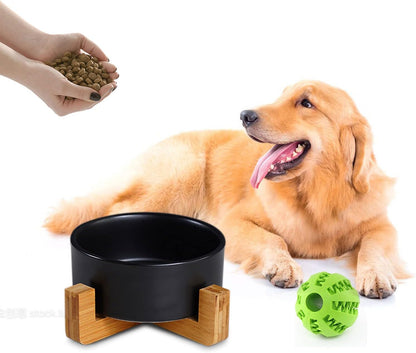 Ceramic Dog Bowl Set & Stand, Medium, Anti-Slip - Black