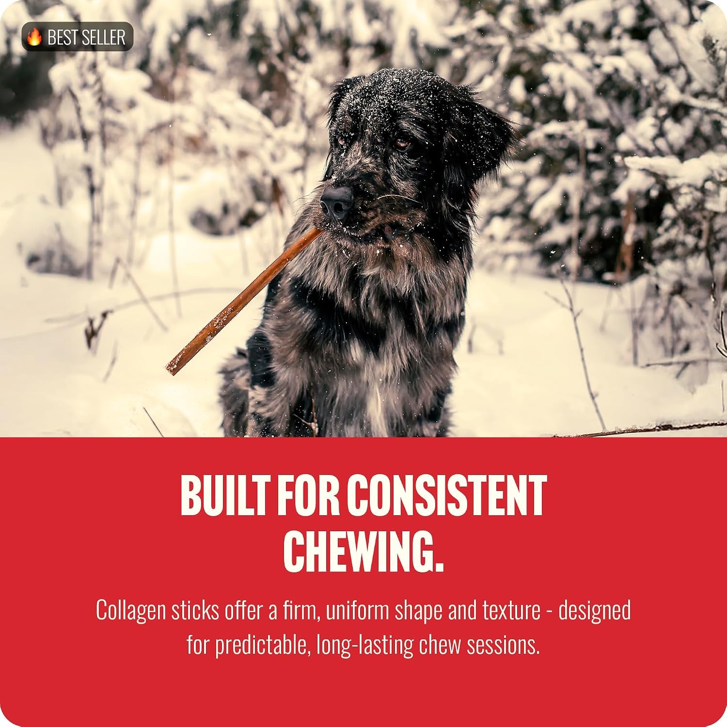 Collagen Dog Chews (12 Inch, 5 Pack), Odor-Free Long Lasting Bully Sticks & Rawhide Alternative Dog Treats, 95% Collagen Low Fat, High Protein – Medium & Large Dogs