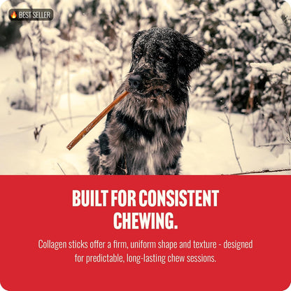 Collagen Dog Chews (12 Inch, 5 Pack), Odor-Free Long Lasting Bully Sticks & Rawhide Alternative Dog Treats, 95% Collagen Low Fat, High Protein – Medium & Large Dogs