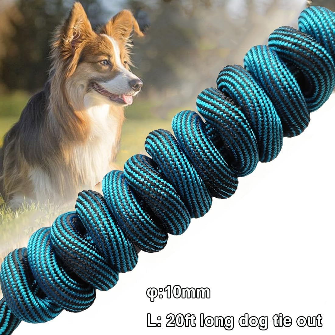 Dog Tie Out Long Tether 8/12/20/30/50/75Ft Rope Dog Lead for Yard | Large Medium Dogs Recall Training Dog Line for outside Playing, Camping, or Backyard (20Ft, Blue Black)