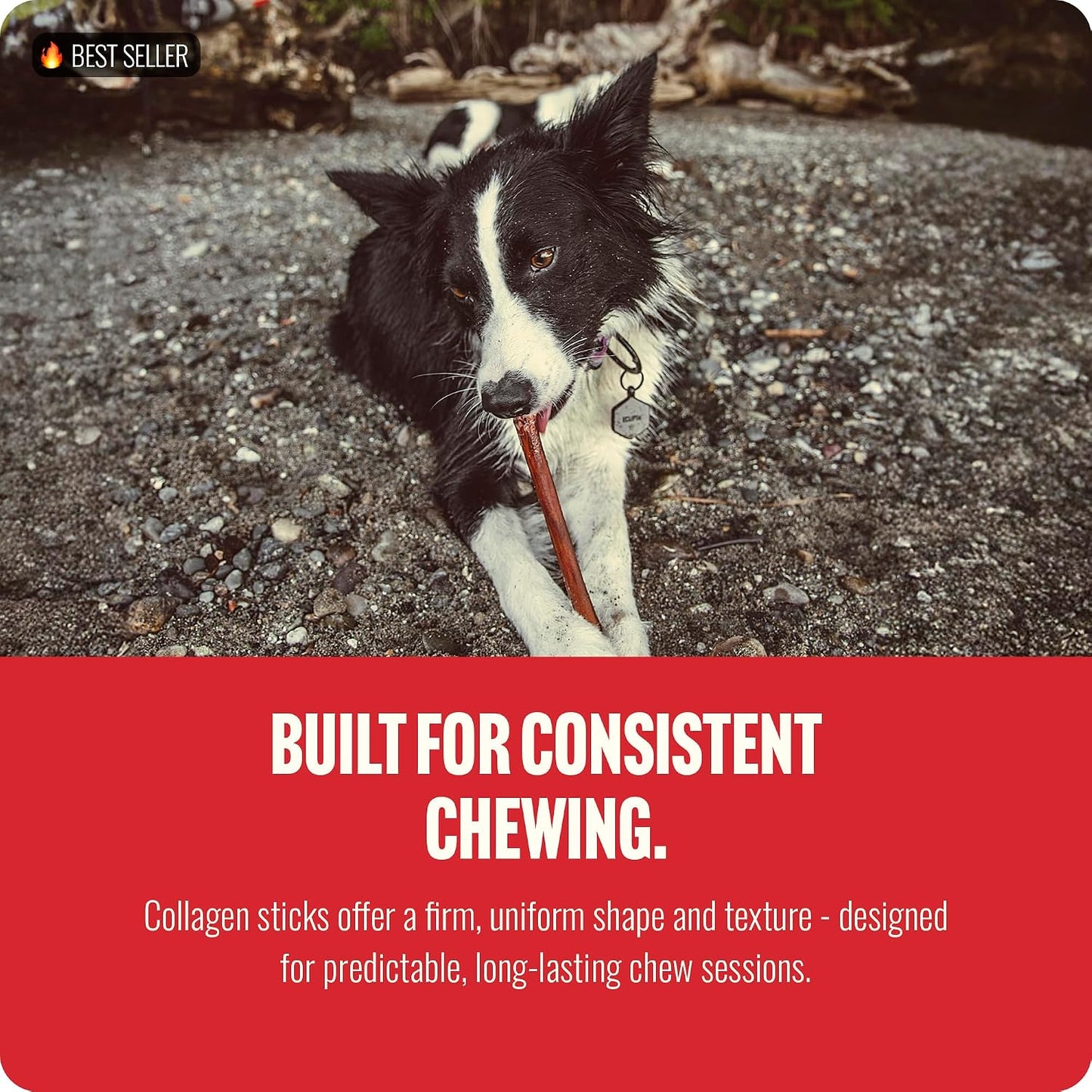 Bully Coated Gourmet Collagen Sticks (4 Inch, 25 Pack) – Real Bully Beef Coated, 95% Natural Collagen Dog Chews, Supports Healthy Joints, Skin & Coat - Best for Small & Medium Dogs