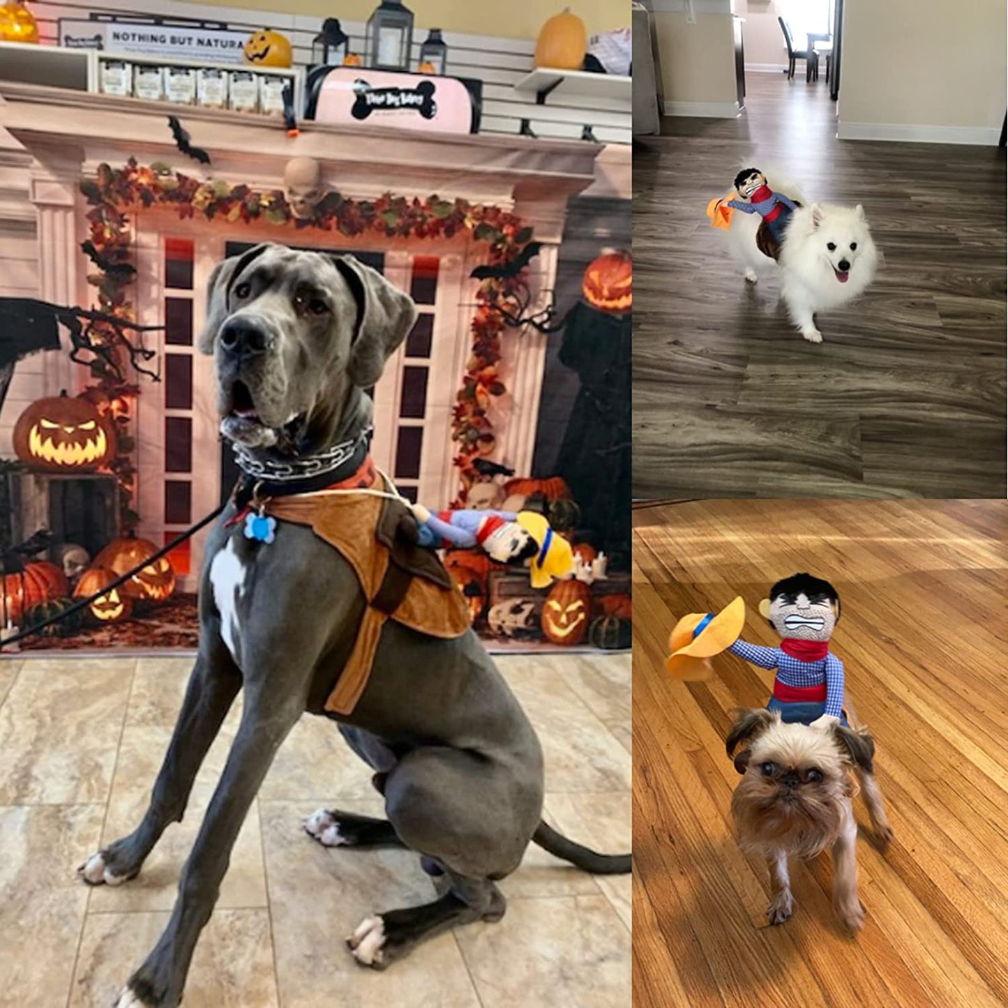 Cowboy Rider Dog Costume for Dogs Outfit Knight Style with Doll and Hat Pet Costume (L)