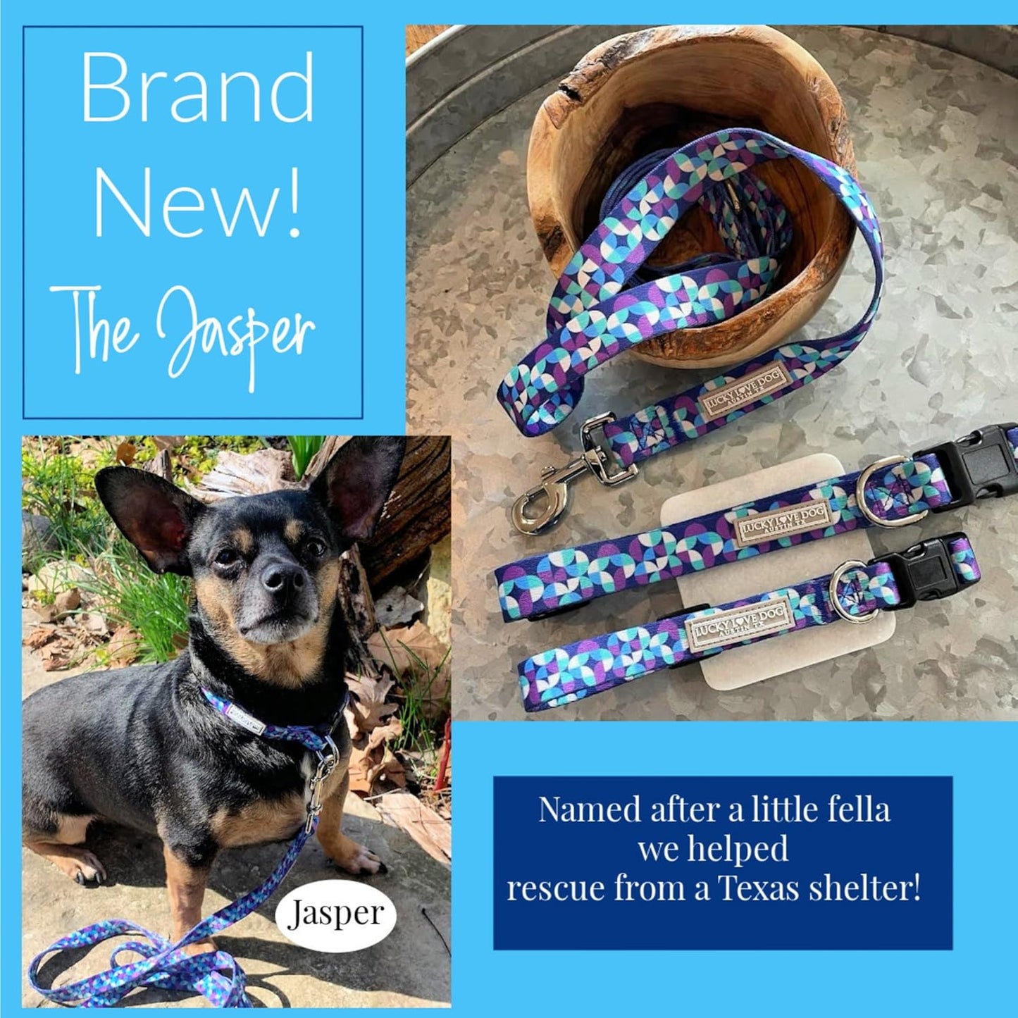 Collar for Small Dogs Cute Adjustable Soft – Jasper, Small | Cute Dog Collars for Small Dogs | Adjustable Nylon Collar with Easy Click Buckle & Weatherproof D-Ring