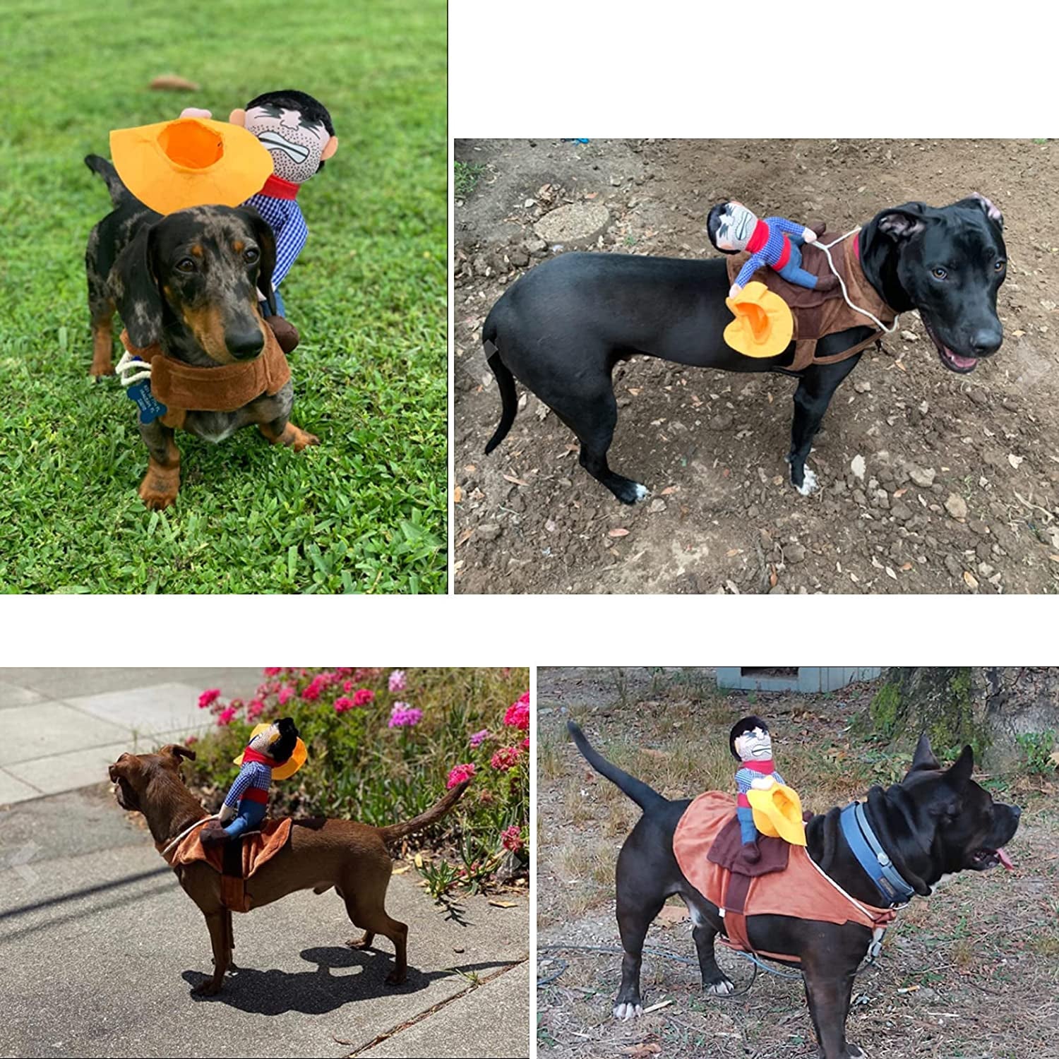 Cowboy Rider Dog Costume for Dogs Outfit Knight Style with Doll and Hat Pet Costume (L)