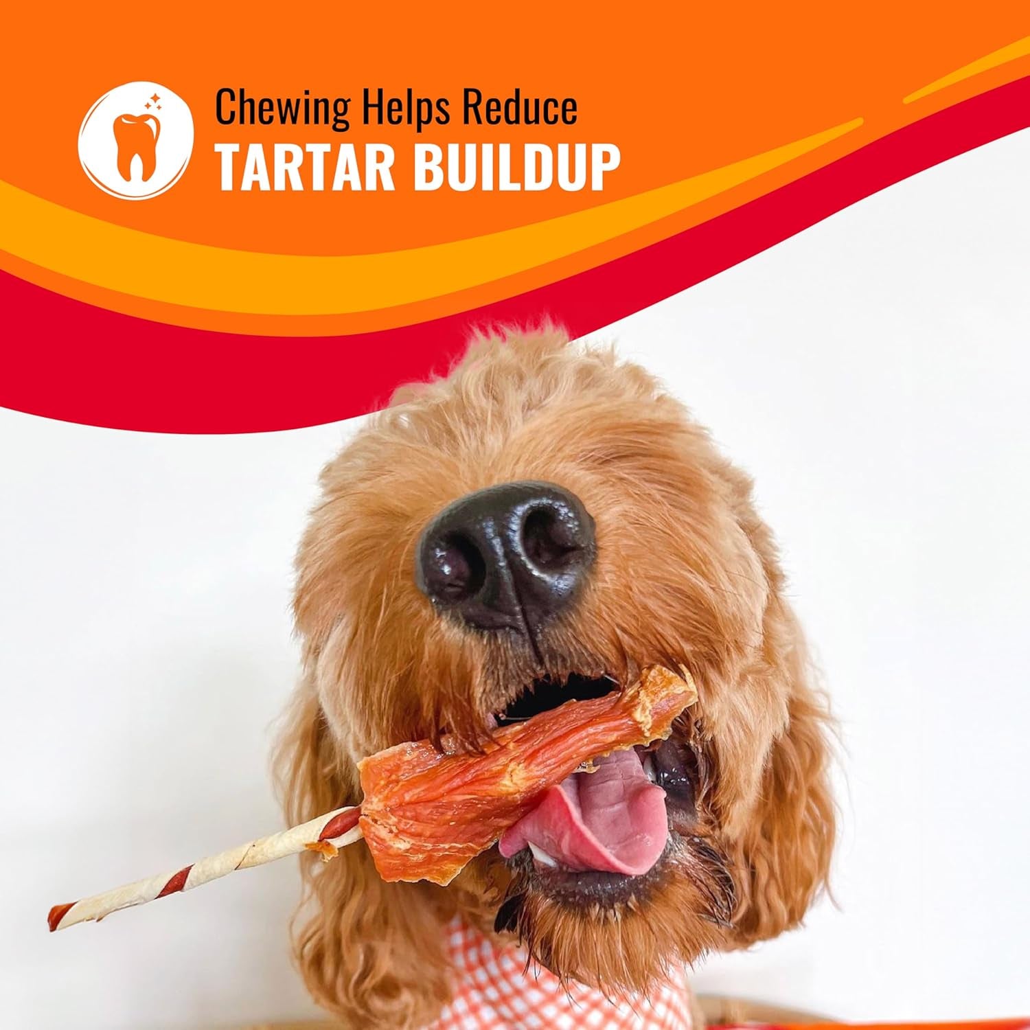 Twists Long-Lasting Dog Treat Made with Real Protein, 35 Count | Premium Chicken, Pork and Beef Hide Chew, Supports Dental Health and Mental Stimulation, for Adult Dogs