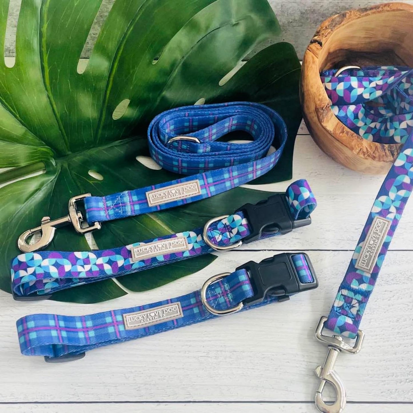Collar for Small Dogs Cute Adjustable Soft – Jasper, Small | Cute Dog Collars for Small Dogs | Adjustable Nylon Collar with Easy Click Buckle & Weatherproof D-Ring