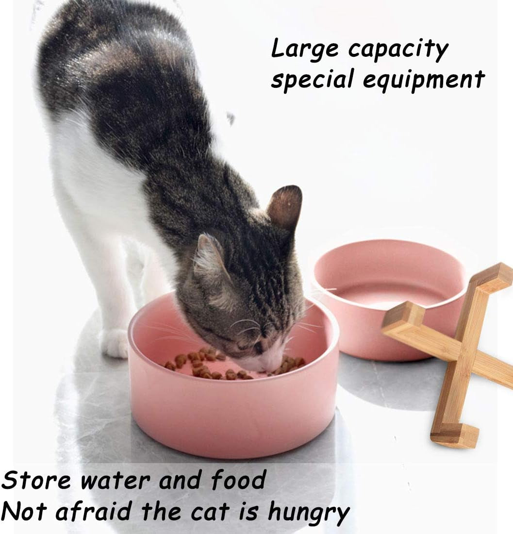 Ceramic Dog Bowl Set & Stand, Medium, Anti-Slip - Pink