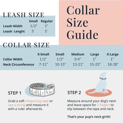 Collar for Small Dogs Cute Adjustable Soft – Jasper, Small | Cute Dog Collars for Small Dogs | Adjustable Nylon Collar with Easy Click Buckle & Weatherproof D-Ring