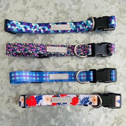 Collar for Small Dogs Cute Adjustable Soft – Jasper, Small | Cute Dog Collars for Small Dogs | Adjustable Nylon Collar with Easy Click Buckle & Weatherproof D-Ring