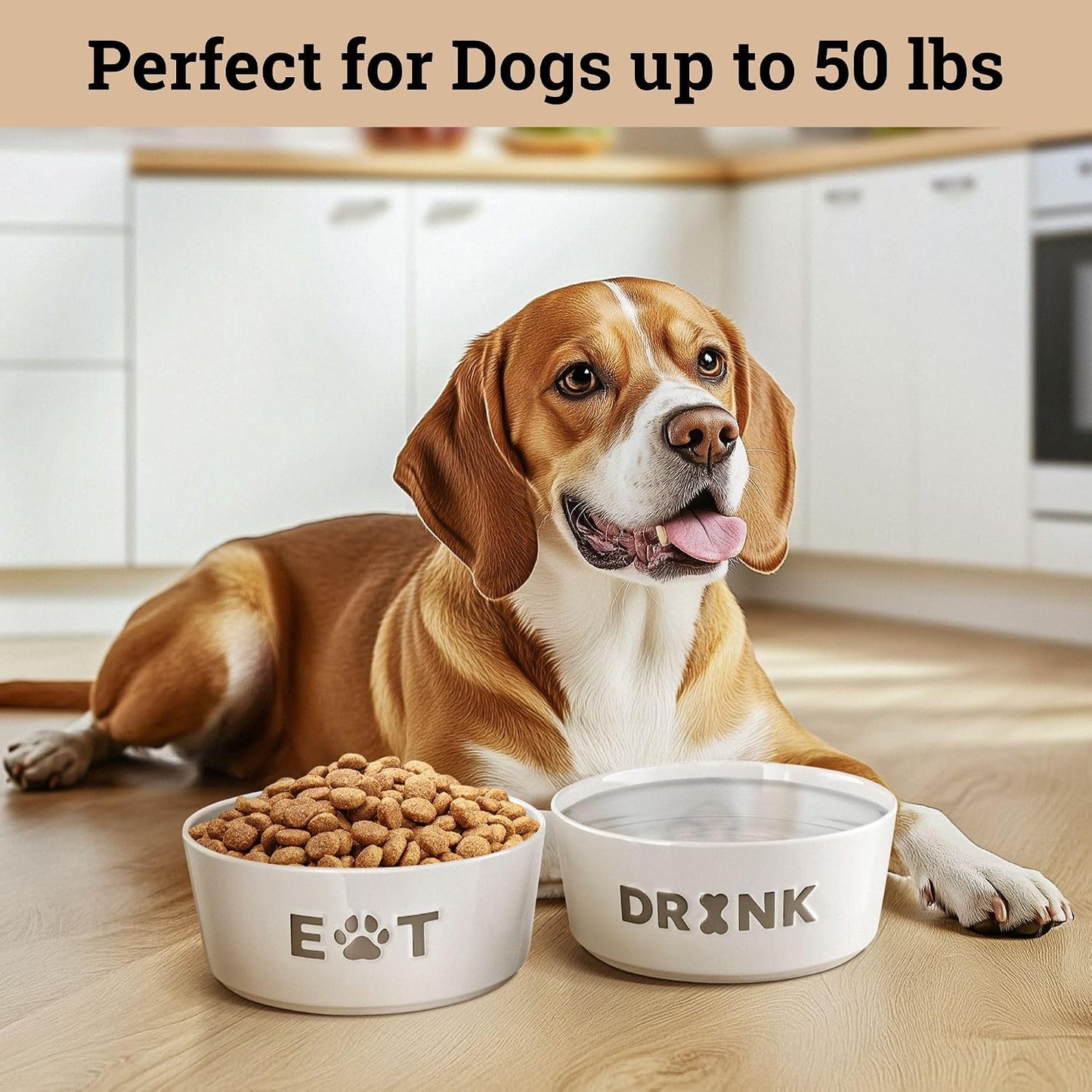 Ceramic Dog Bowl Set of 2 W/ Anti-Skid Base 6.5"W X 2.5"H, 3.8 Cup Capacity | Thick Ceramic, Dishwasher Safe, Anti-Skid Rubber Base, 3.8 Cups per Bowl, Ceramic Food & Water Bowls Set of 2 for Medium Dogs