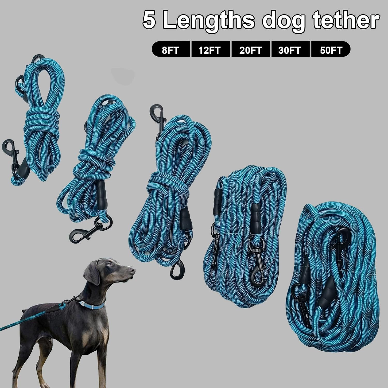 Dog Tie Out Long Tether 8/12/20/30/50/75Ft Rope Dog Lead for Yard | Large Medium Dogs Recall Training Dog Line for outside Playing, Camping, or Backyard (20Ft, Blue Black)