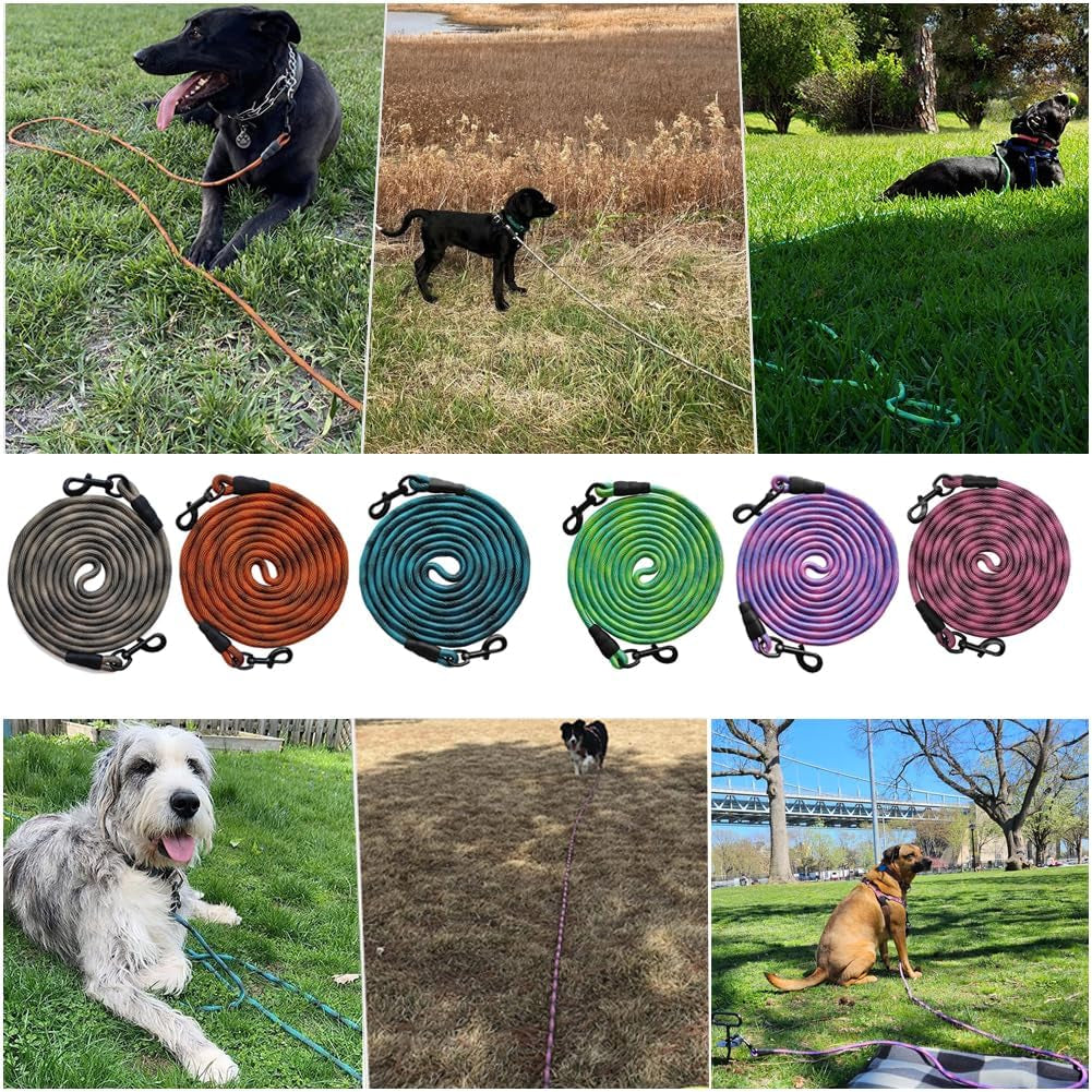 Dog Tie Out Long Tether 8/12/20/30/50/75Ft Rope Dog Lead for Yard | Large Medium Dogs Recall Training Dog Line for outside Playing, Camping, or Backyard (20Ft, Blue Black)