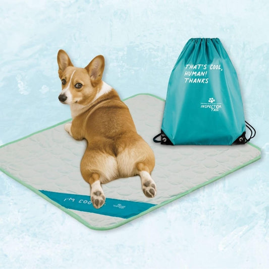 Dog Cooling Mat, Indoor & Outdoor, Medium Self Cooling Pad | No Freeze Needed, Breathable, Washable, Portable Cooling Mat for Dogs with Travel Bag, Fits Car, Crate, Floor & Bed, 27"X 21"